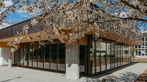Student centre on the Universitätsplatz campus, with flowering branches in the foreground (c) Jana Dünnhaupt_University of Magdeburg Student centre on the campus at Universitätsplatz, with flowering branches in the foreground (c) Jana Dünnhaupt_University of Magdeburg