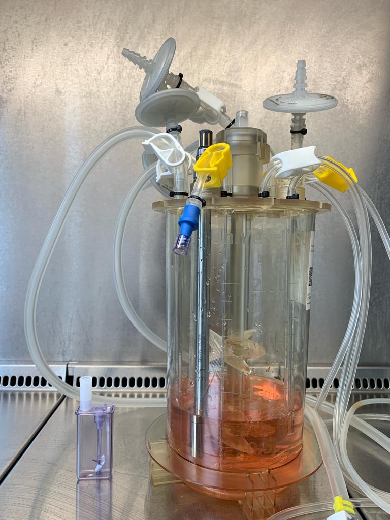 Biosystemtechnik_#1_Foto Bioreaktor